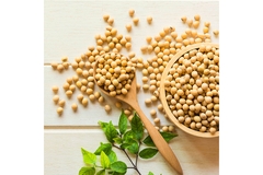 Image Soybeans.